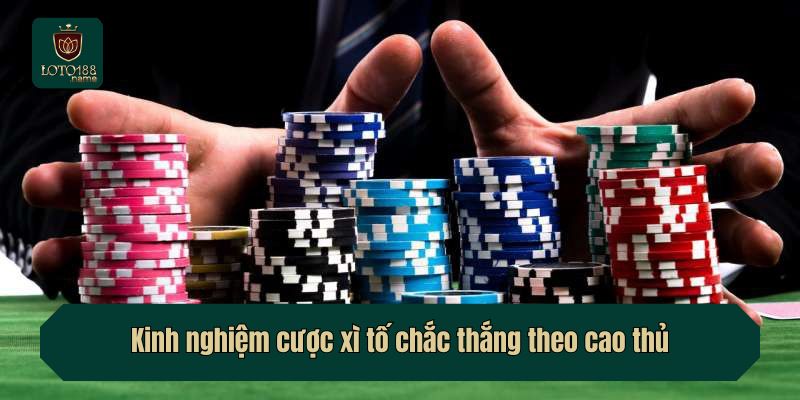 Kinh nghiệm cược xì tố chắc thắng theo cao thủ